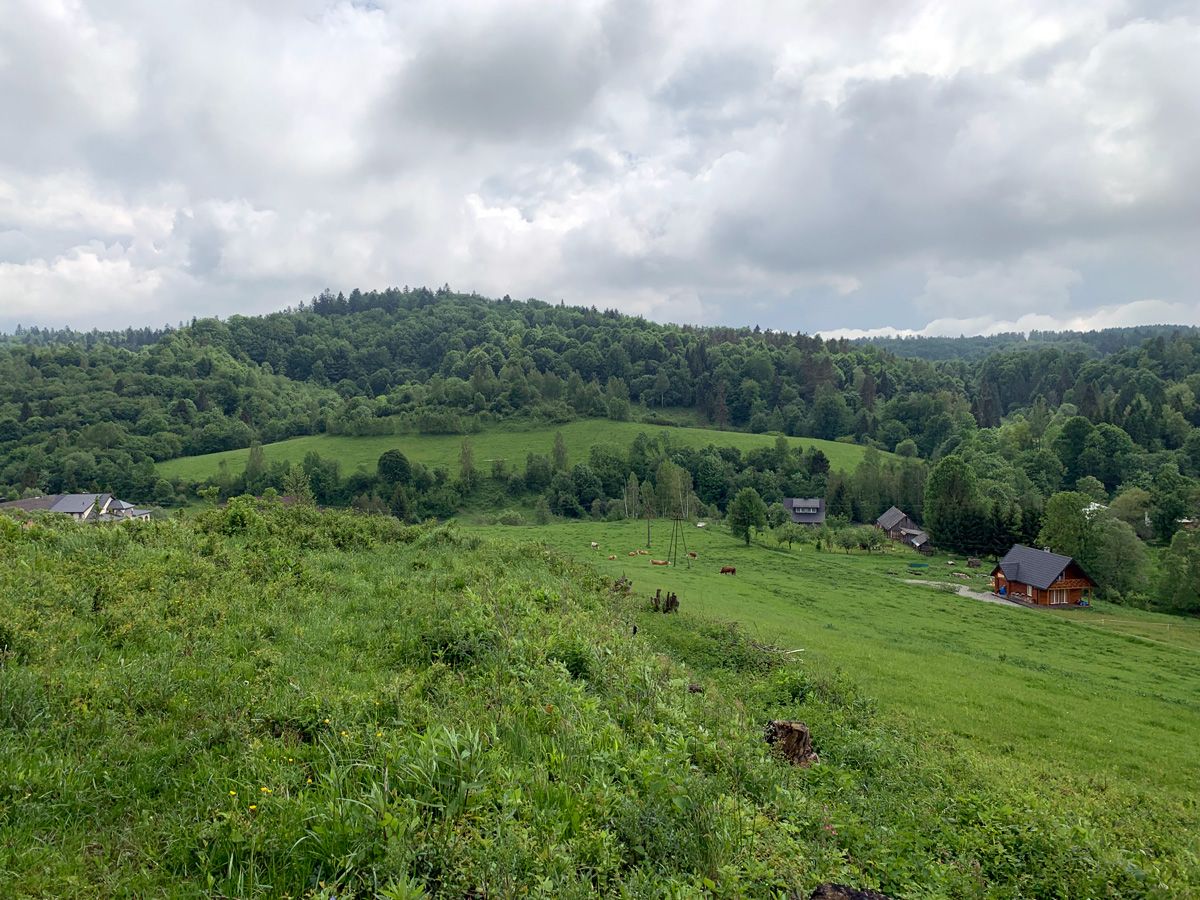 Działka budowlana Daszówka. Zdjęcie 5