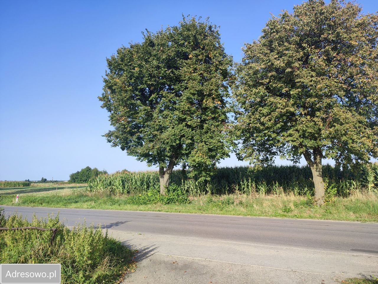 Działka budowlana Bełżyce, ul. Przemysłowa. Zdjęcie 7