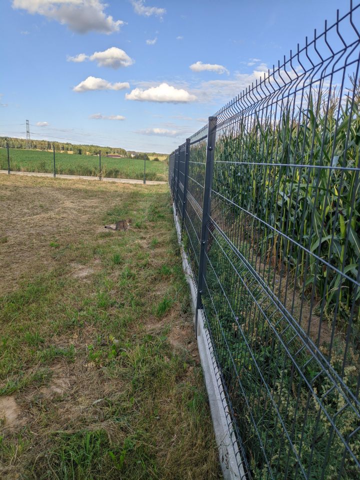 Hala/magazyn Bruszewo. Zdjęcie 8