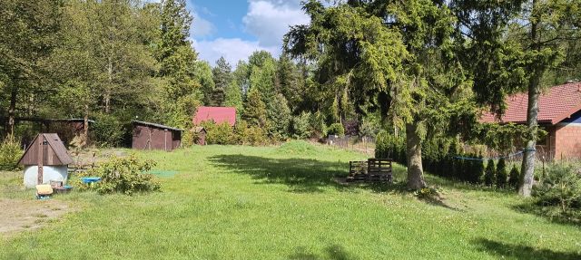 Działka budowlana Rydzynki, ul. Żabia. Zdjęcie 1