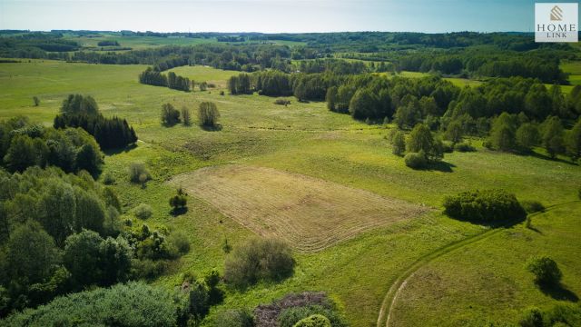Działka siedliskowa Skolity. Zdjęcie 7