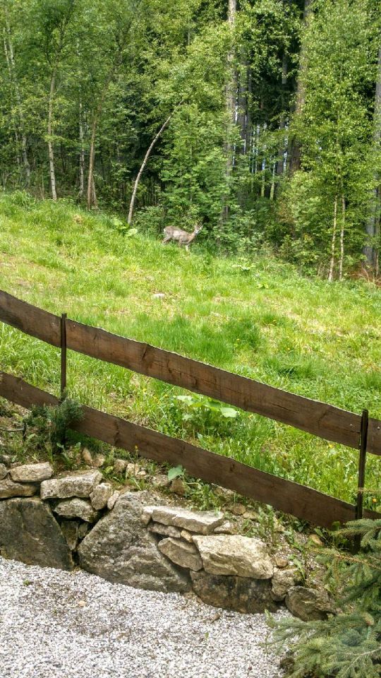 Działka inwestycyjna Karpacz Bierutowice, ul. Wita Stwosza. Zdjęcie 2