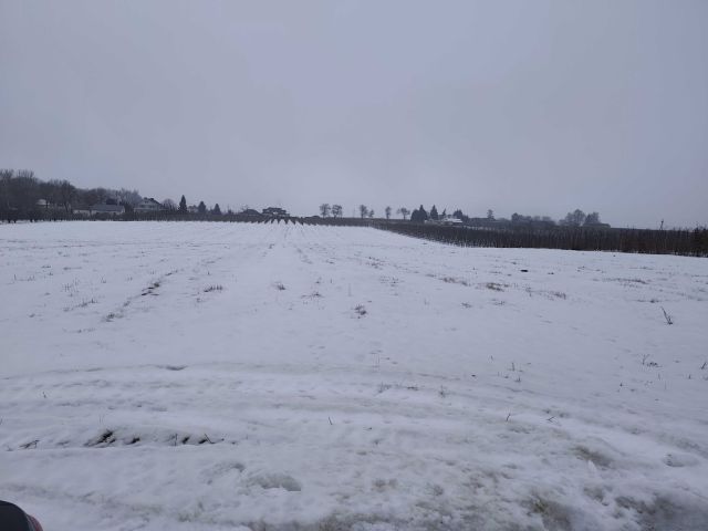 Działka rolna Wola-Chojnata. Zdjęcie 1