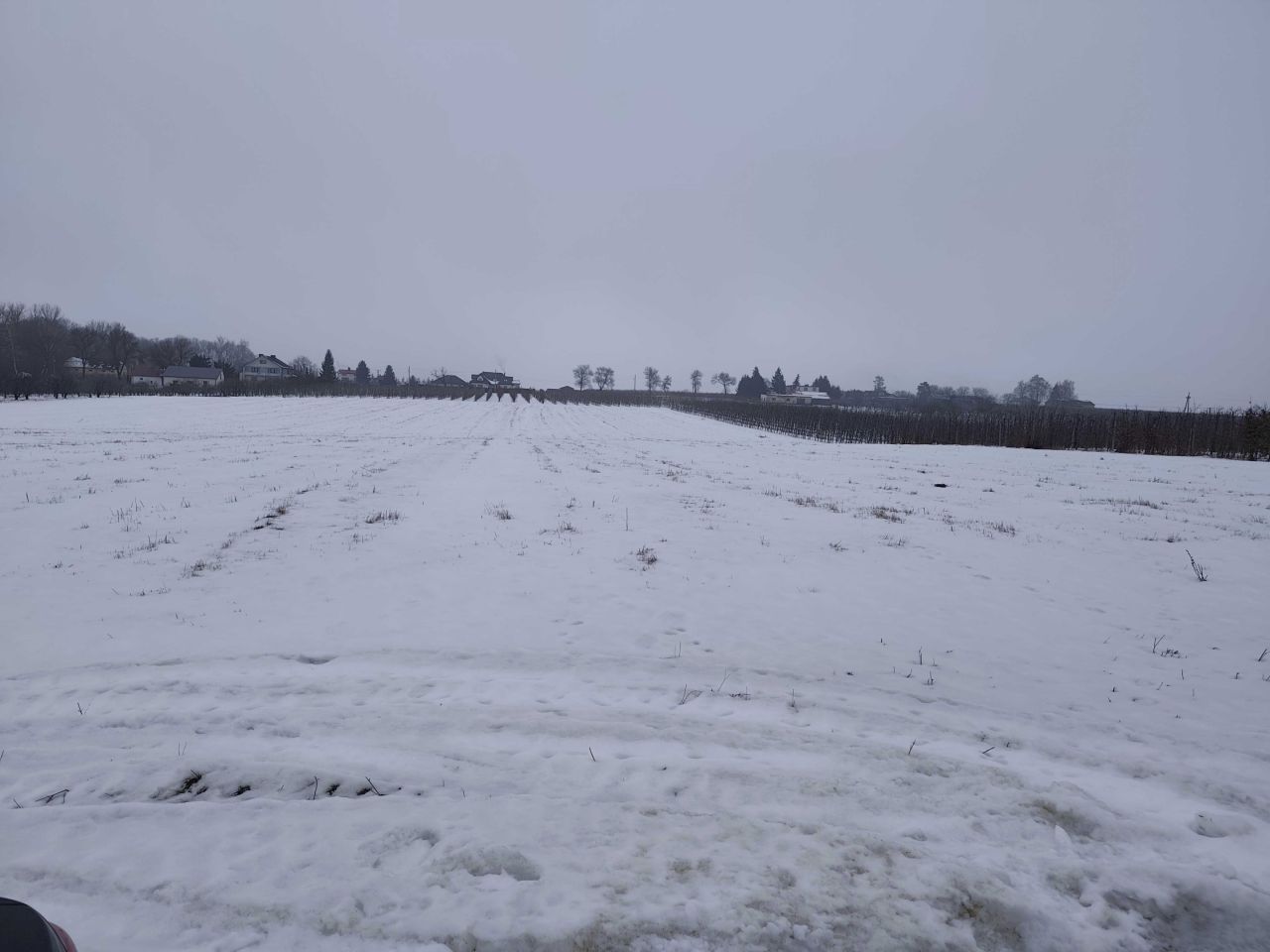 Działka rolna Wola-Chojnata. Zdjęcie 1