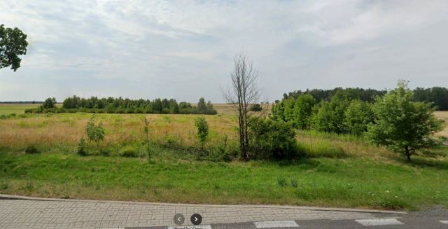 Działka siedliskowa Korzeniów. Zdjęcie 1