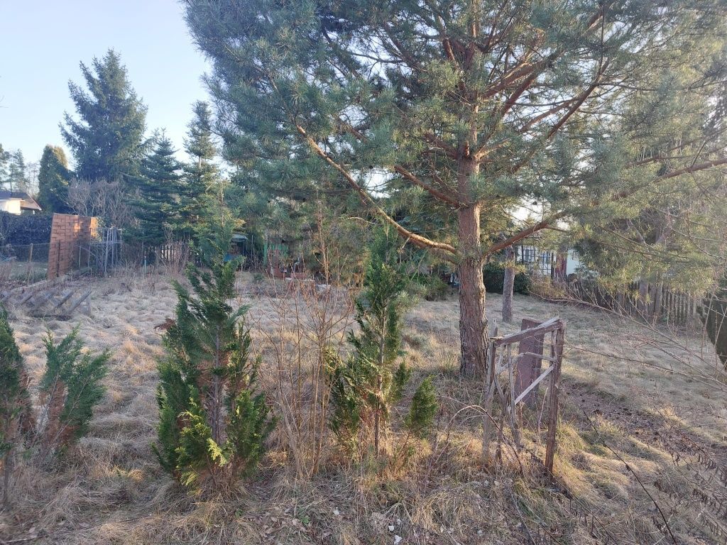 Działka rod Bydgoszcz Szwederowo, ul. Bielicka. Zdjęcie 6