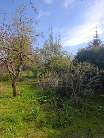 Działka rod Zaborze. Zdjęcie 1