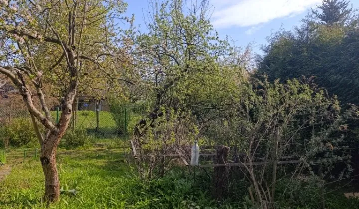 Działka rod Zaborze