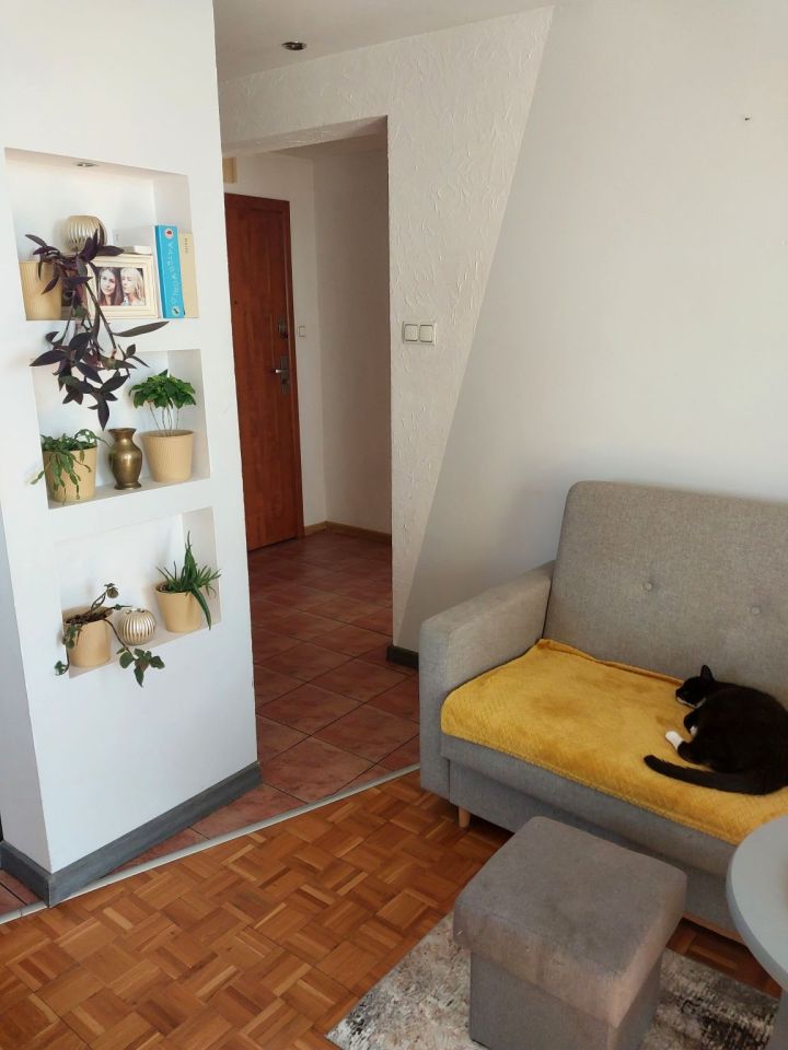 Mieszkanie 3-pokojowe Zielona Góra Centrum, ul. 1 Maja. Zdjęcie 8