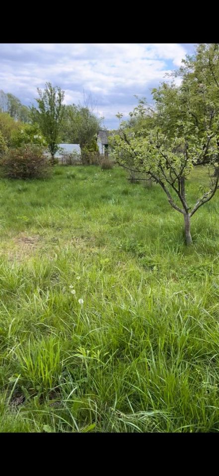 Działka rod Gorzów Wielkopolski. Zdjęcie 5