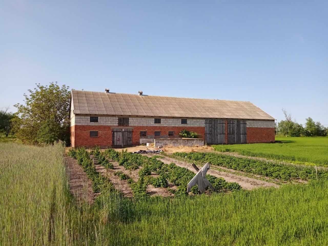 siedlisko, 8 pokoi Poczałkowo kolonia. Zdjęcie 7