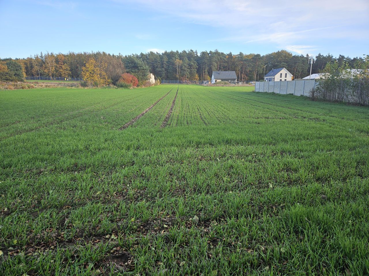 Działka rolno-budowlana Poznań Głuszyna, ul. Ożarowska. Zdjęcie 2