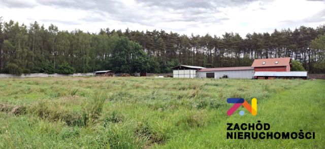 Hala/magazyn Zielona Góra. Zdjęcie 2