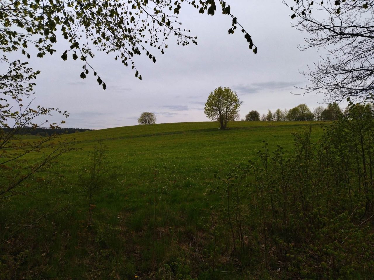 Działka budowlana Rumy. Zdjęcie 12