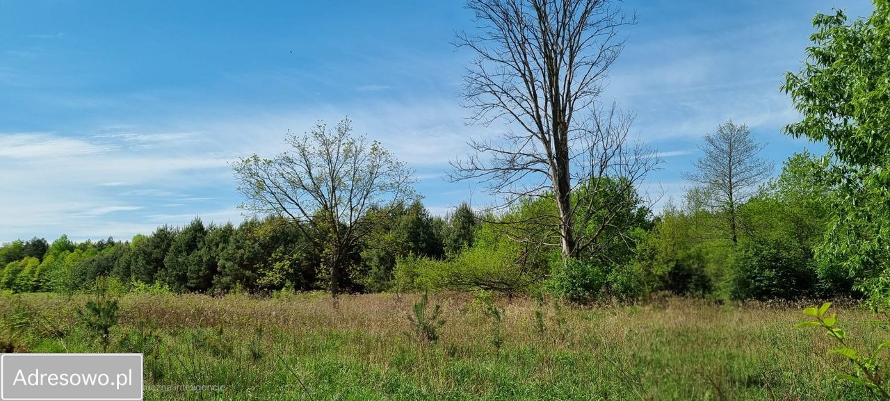 Działka rolna Wólka Biska. Zdjęcie 4