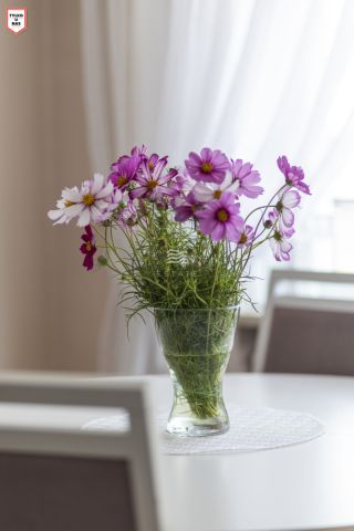 Mieszkanie 2-pokojowe Gdańsk Śródmieście, ul. św. Barbary. Zdjęcie 11