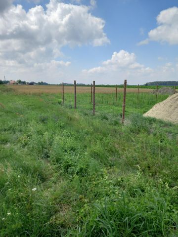 Działka rolno-budowlana Galomin. Zdjęcie 1