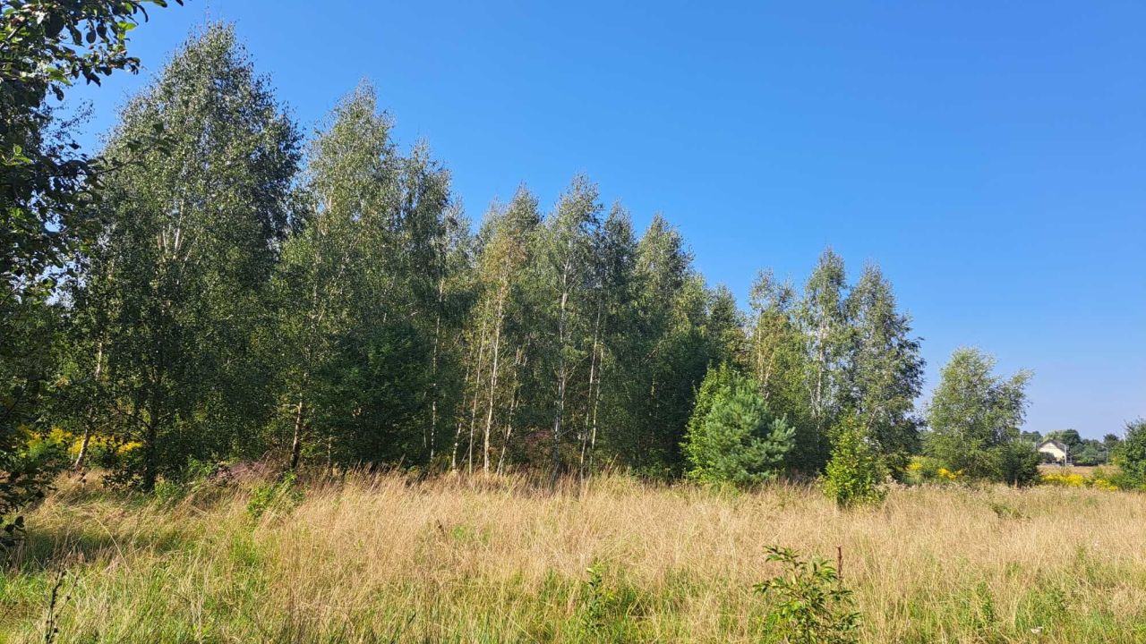 Działka budowlana Niecki