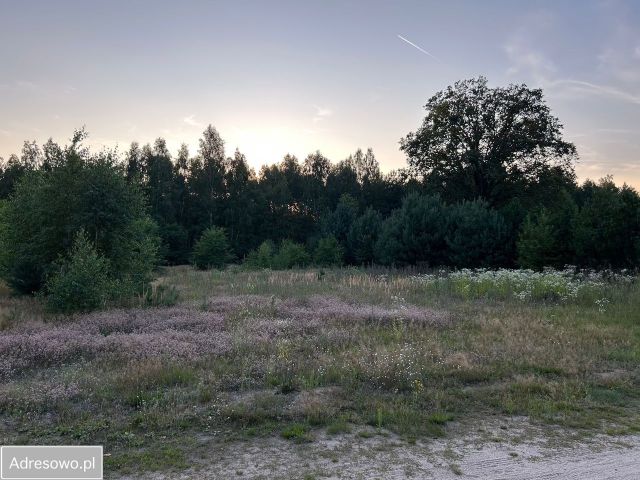 Działka Grotniki. Zdjęcie 1