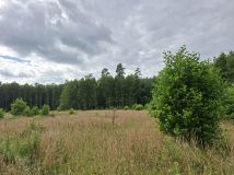 Działka rolno-budowlana Karolewo. Zdjęcie 2