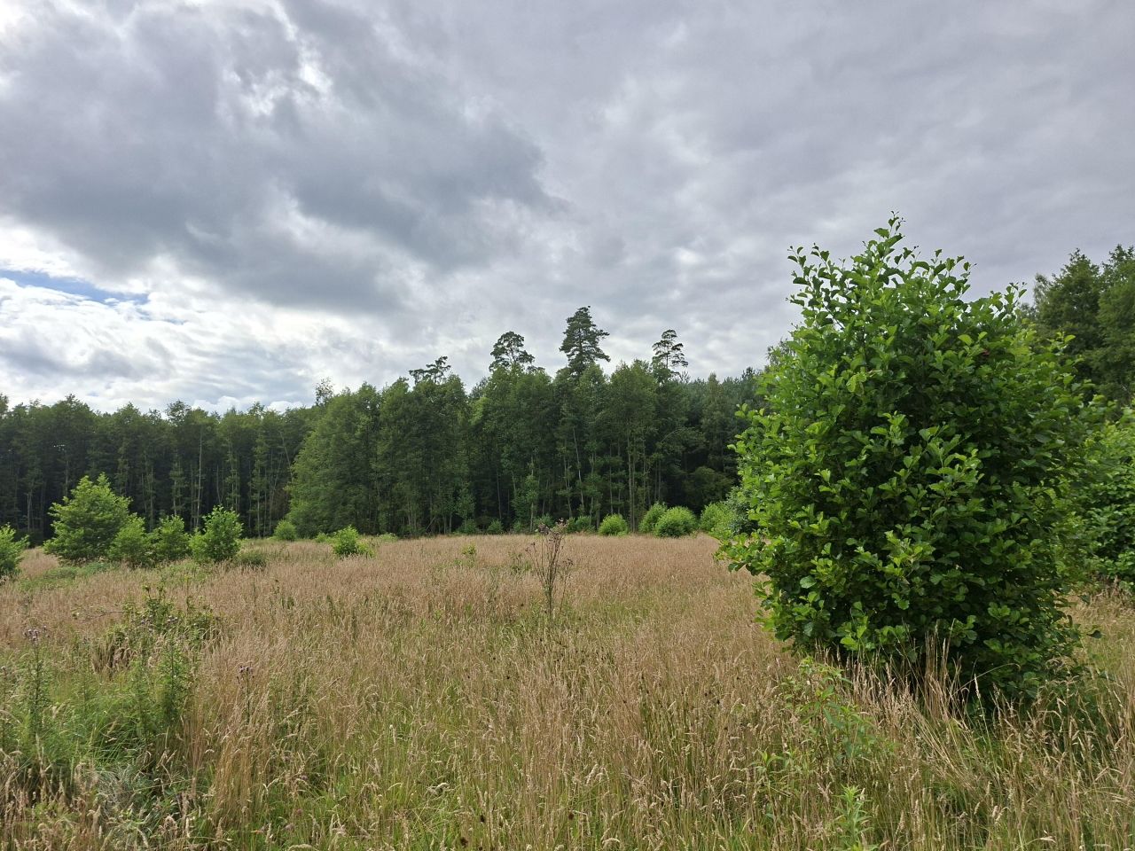 Działka rolno-budowlana Karolewo. Zdjęcie 3
