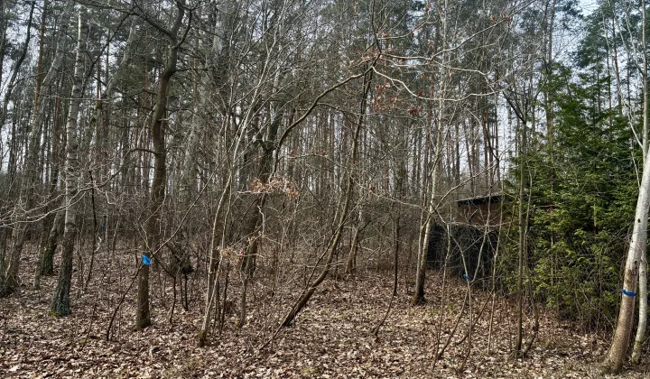 Działka leśna Nowy Prażmów, ul. Leśna
