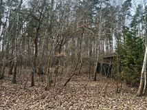 Działka leśna Nowy Prażmów, ul. Leśna. Zdjęcie 2