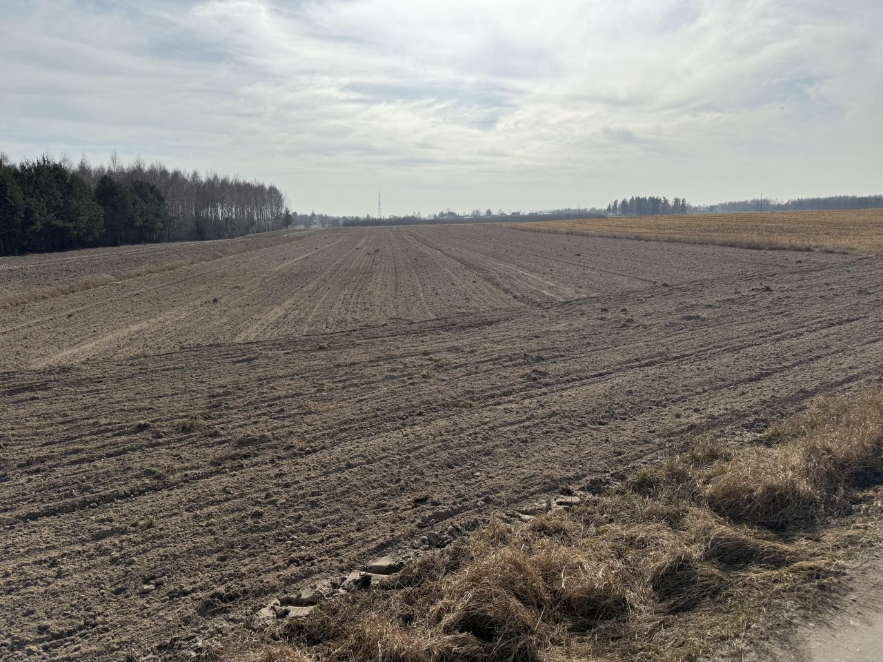 Działka budowlana Suszno, ul. Modrzewiowa. Zdjęcie 6