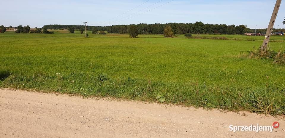 Działka rolna Huta Żelechowska. Zdjęcie 3