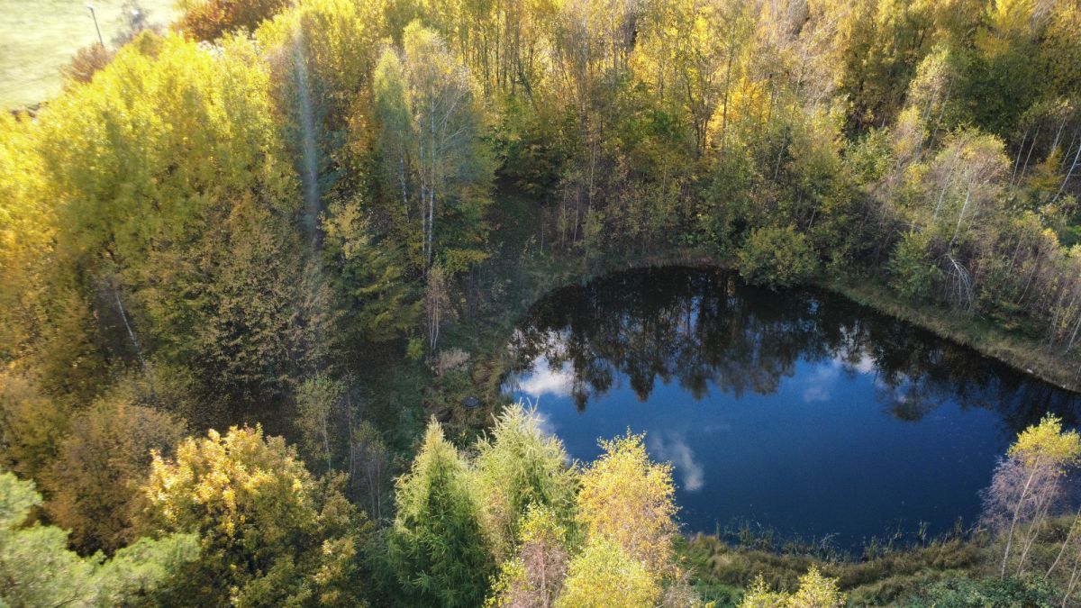 Działka budowlana Gromadzin. Zdjęcie 6