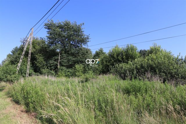 Działka inwestycyjna Bodzanów. Zdjęcie 4