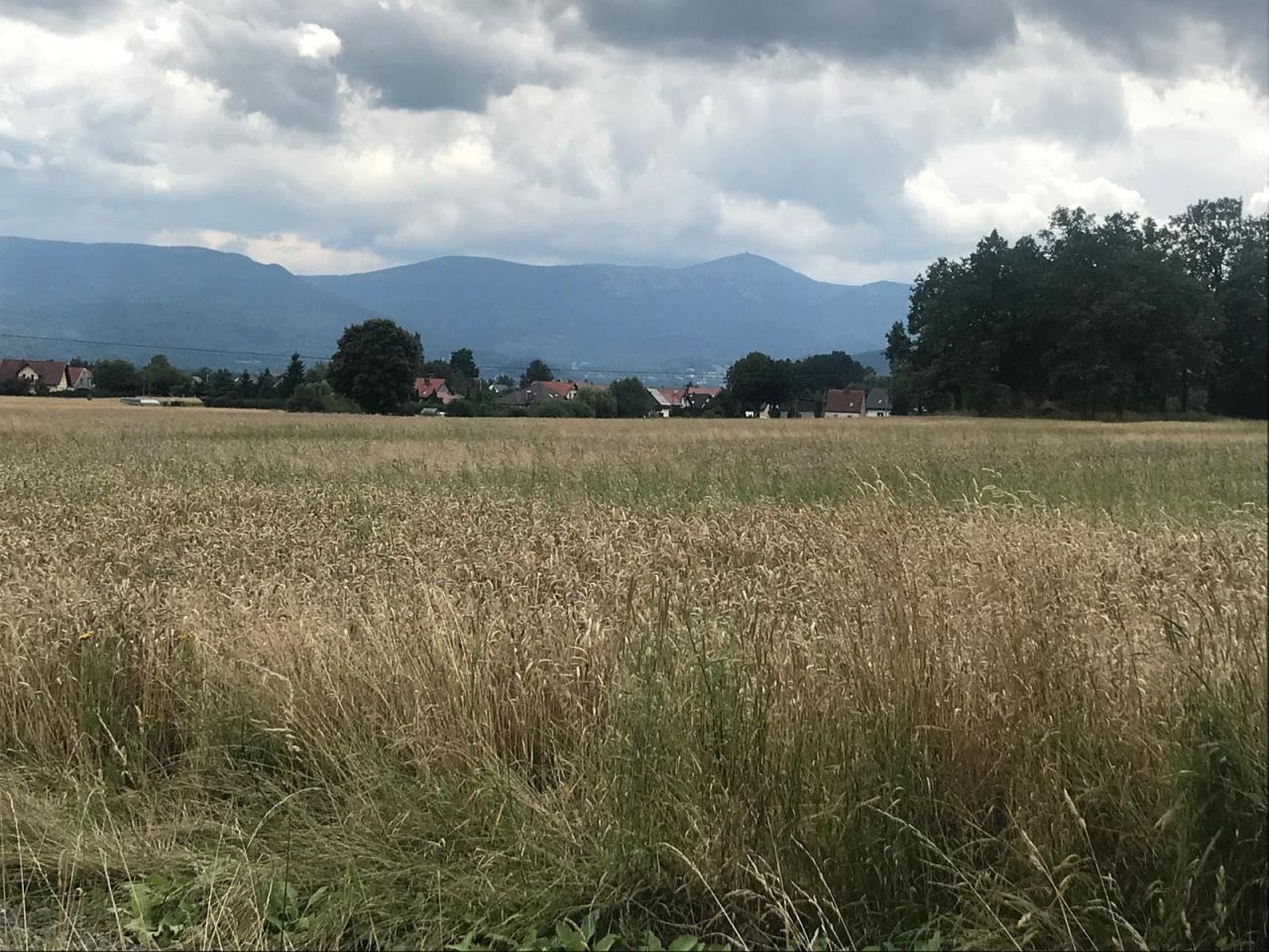 Działka budowlana Łomnica. Zdjęcie 4