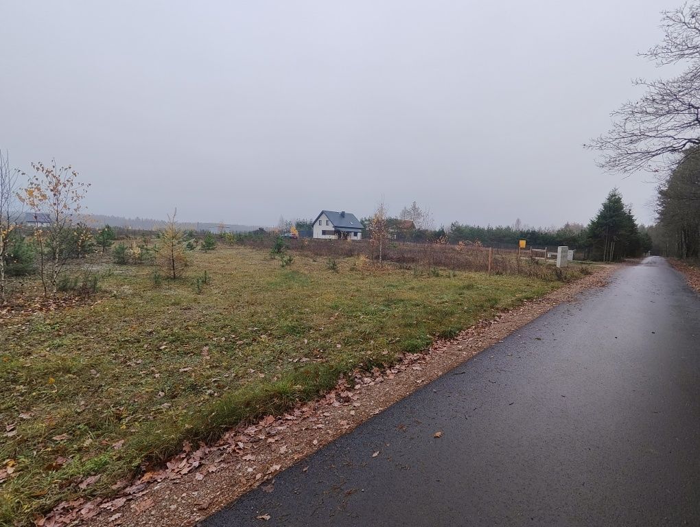 Działka budowlana Danowskie. Zdjęcie 2