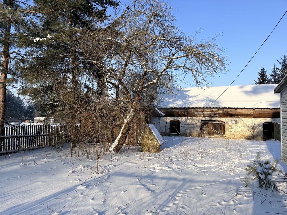 siedlisko Podnowinka. Zdjęcie 8