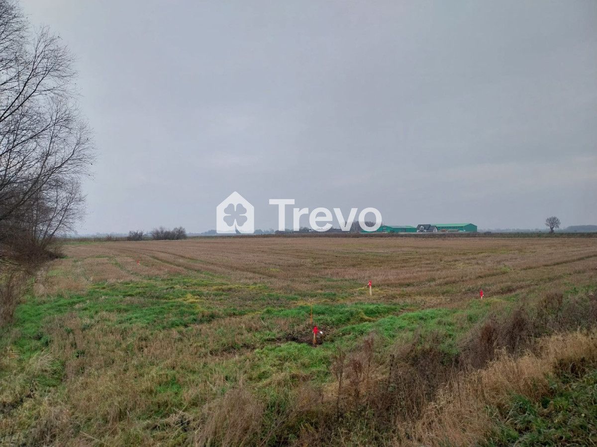 Działka rolna Wocławy, ul. Królowej Bony. Zdjęcie 8