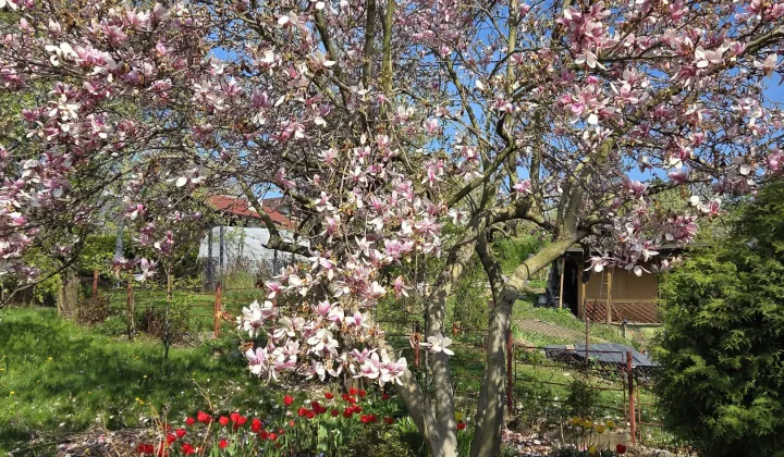 Działka rod Bielsko-Biała Lipnik, ul. Łąkowa