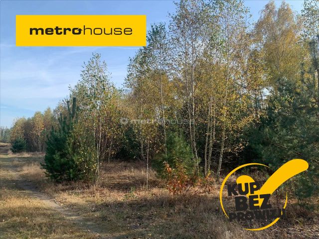 Działka rolna Bronisławów. Zdjęcie 1