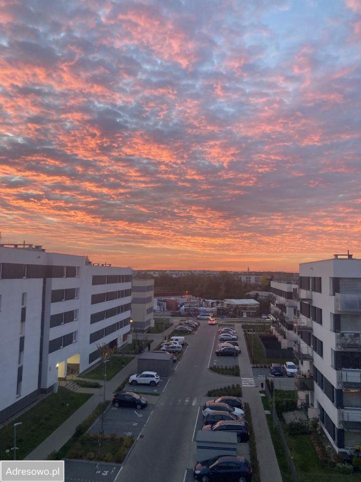 Mieszkanie 2-pokojowe Poznań Jeżyce, ul. Druskienicka. Zdjęcie 13