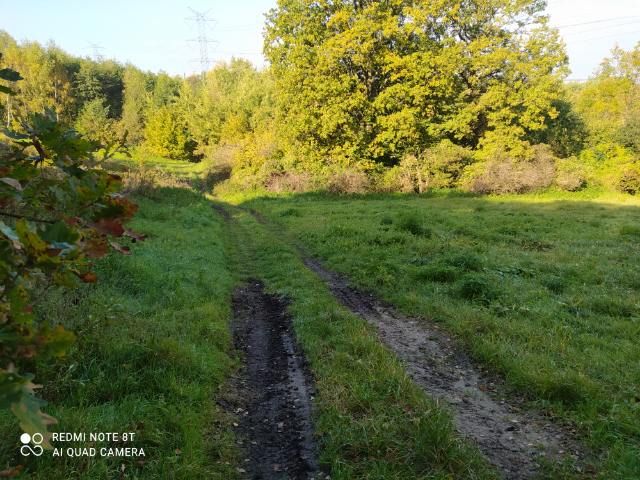 Działka rekreacyjna Buków. Zdjęcie 6