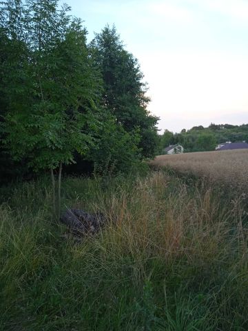 Działka rolno-budowlana Husów. Zdjęcie 1