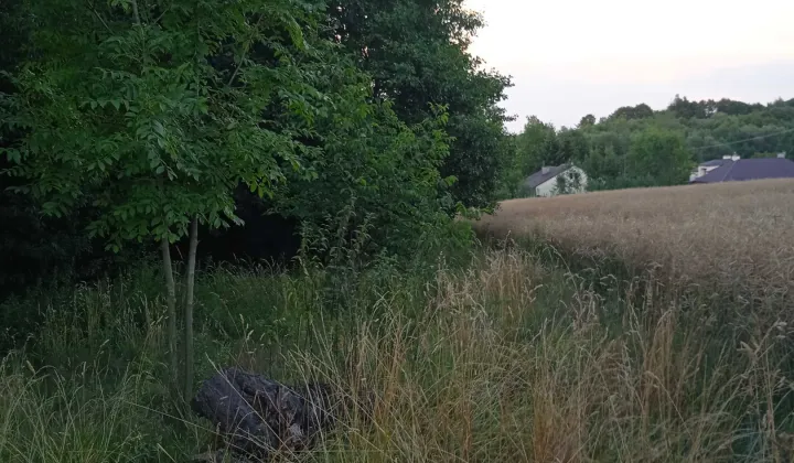 Działka rolno-budowlana Husów