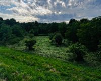 Działka rolna Kraków Nowa Huta, ul. Nadwodna. Zdjęcie 3