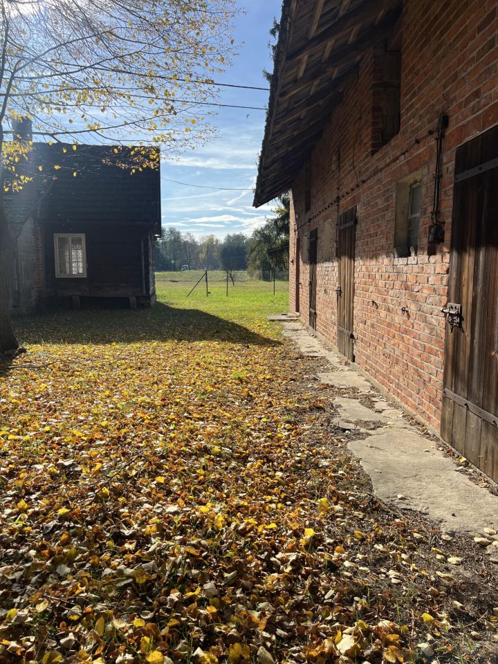 Działka siedliskowa Mieleszynek. Zdjęcie 5