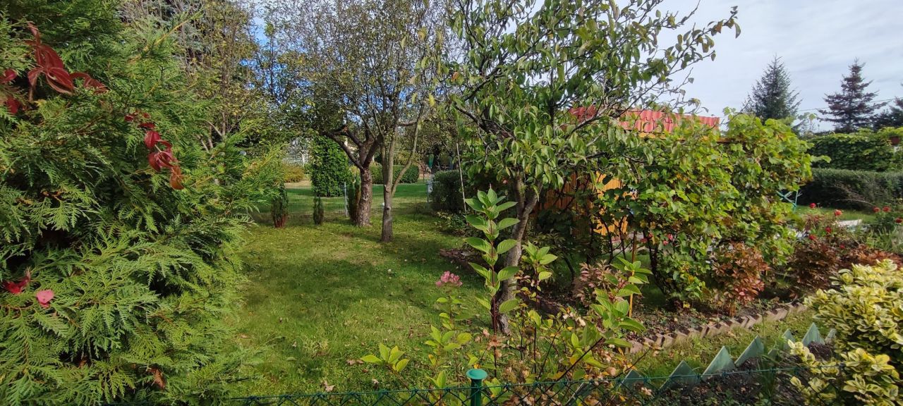 Działka rod Piotrków Trybunalski, ul. Brzeźnicka. Zdjęcie 6