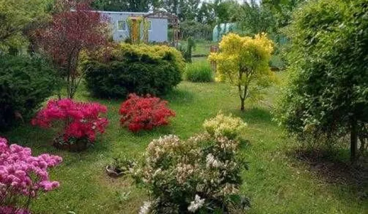 Działka rekreacyjna Oleśnica, ul. Wileńska