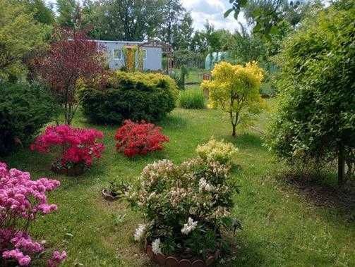 Działka rekreacyjna Oleśnica, ul. Wileńska. Zdjęcie 1