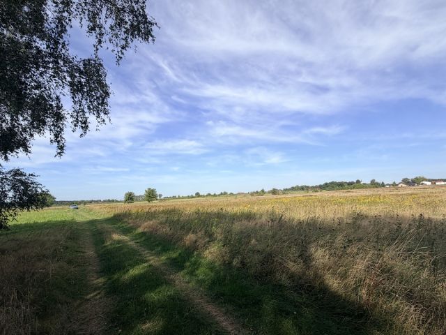 Działka budowlana Mozów. Zdjęcie 6