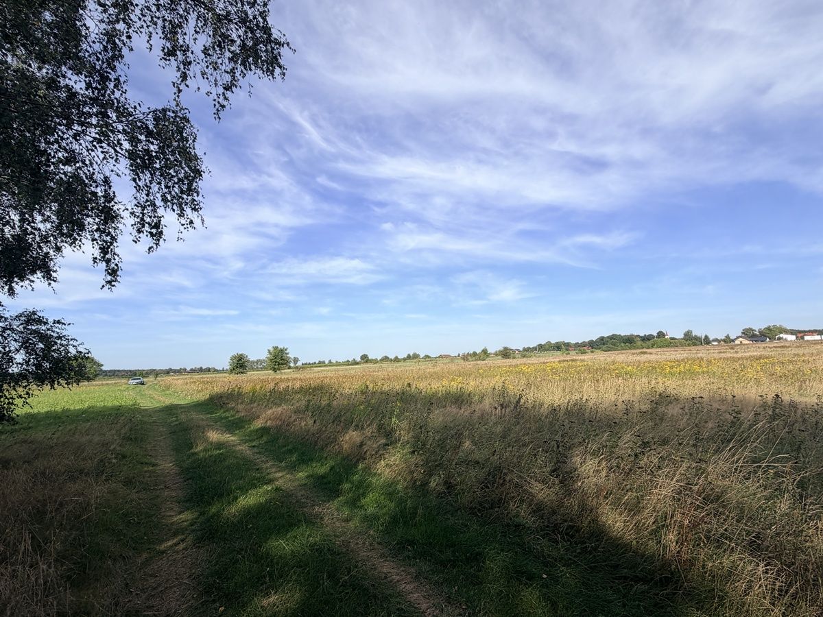Działka budowlana Mozów. Zdjęcie 6