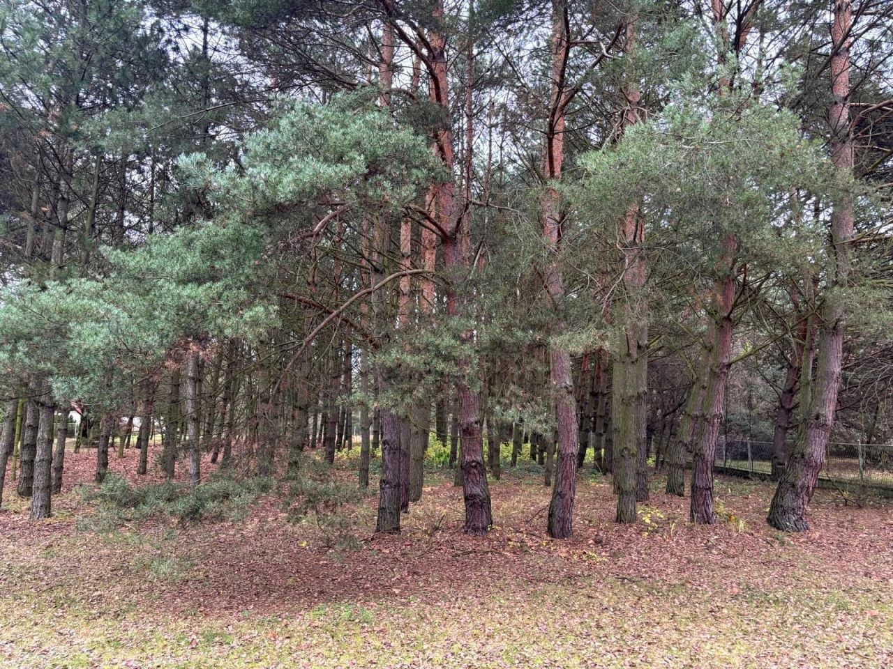 Działka budowlana Bystrzyca. Zdjęcie 5