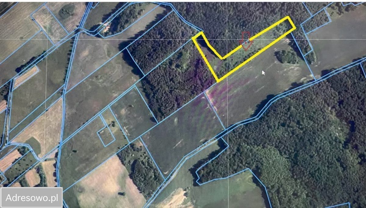 Działka rolna Majewo. Zdjęcie 3